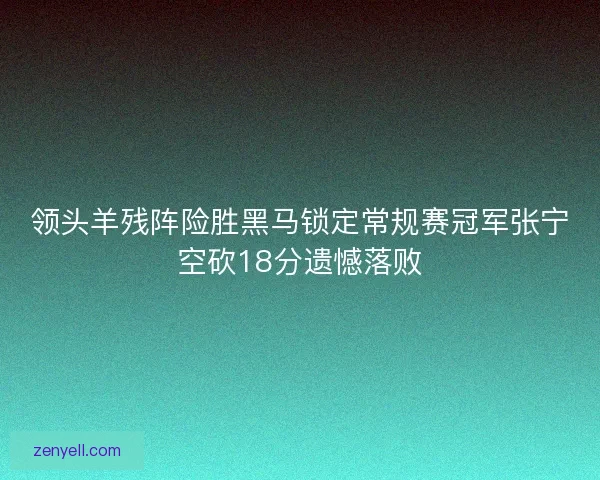 领头羊残阵险胜黑马锁定常规赛冠军张宁空砍18分遗憾落败