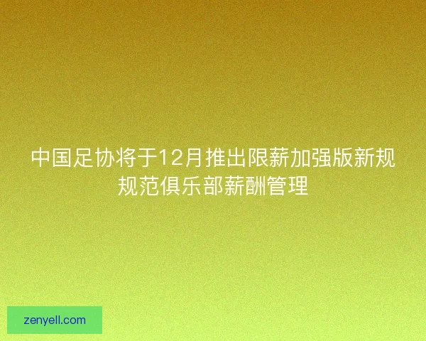 中国足协将于12月推出限薪加强版新规规范俱乐部薪酬管理